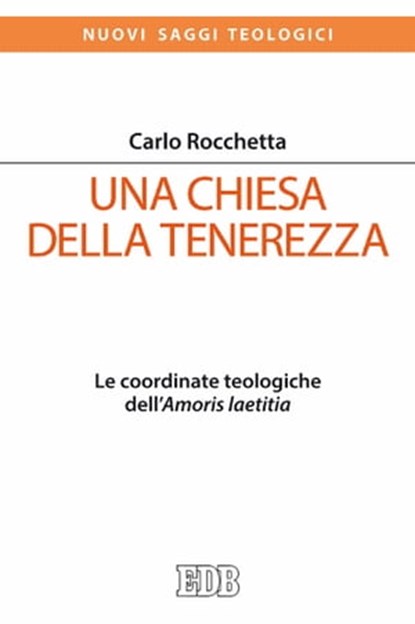 Una Chiesa della tenerezza, Carlo Rocchetta - Ebook - 9788810963654
