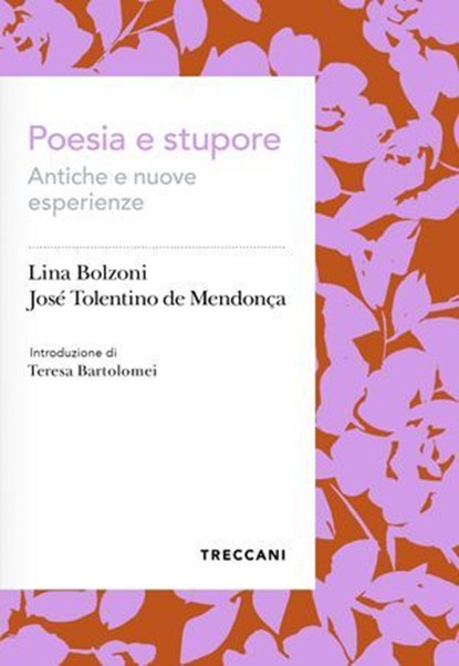 Poesia e stupore., LINA BOLZONI - ; José Tolentino de Mendonça - Ebook - 9788812011735