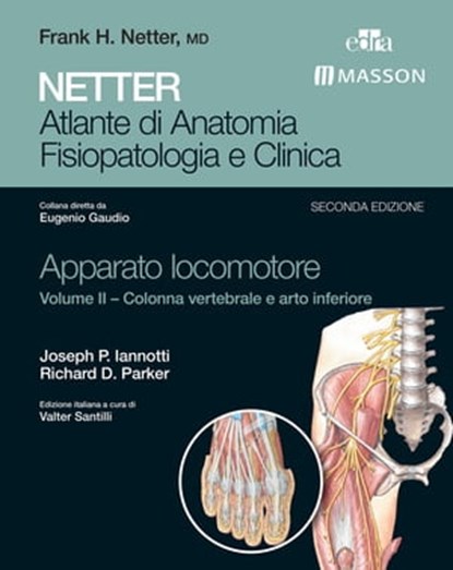 NETTER Atlante di anatomia fisiopatologia e clinica: Apparato Locomotore 2, Eugenio Gaudio ; Richard D. Parker ; Joseph P. Iannotti - Ebook - 9788821437335