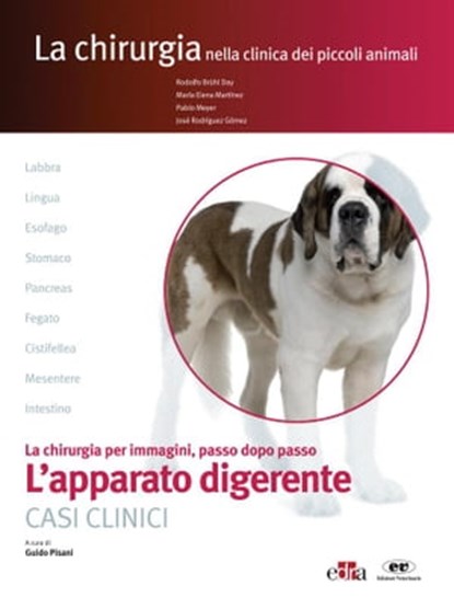 L'apparato digerente, Rodolfo Brühl Day ; Maria Elena Martinez ; Pablo Meyer ; Josè Rodriguez Gomez - Ebook - 9788821441707