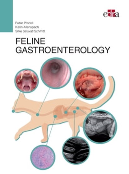 Feline Gastroenterology, Fabio Procoli ; Karin Allenspach ; Silke Salavati - Ebook - 9788821452345
