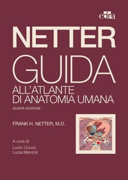 Netter. Guida all'atlante di anatomia umana, Frank H. Netter - Ebook - 9788821457166