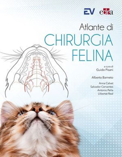 Atlante di chirurgia felina, Alberto Barneto ; Salvador Cervantes ; Anna Calvet ; Antonio Pena ; Llibertat Real - Ebook - 9788821458248