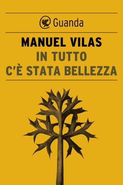 In tutto c'è stata bellezza, Manuel Vilas - Ebook - 9788823524378