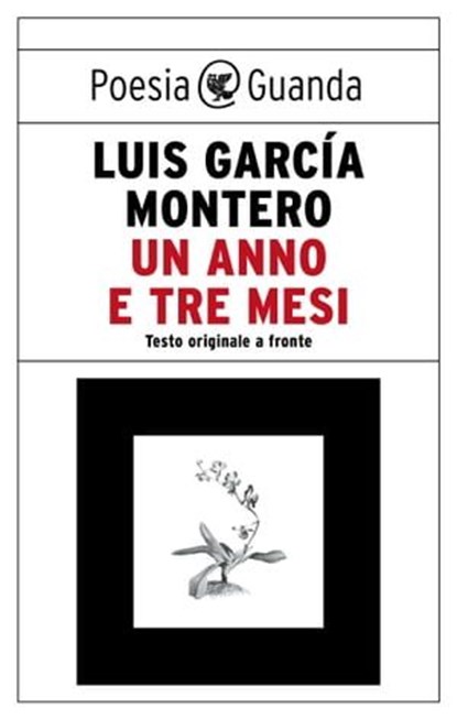 Un anno e tre mesi, Luis Garcia Montero - Ebook - 9788823533974