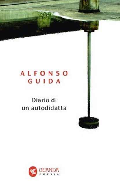 Diario di un autodidatta, Alfonso Guida - Ebook - 9788823535992