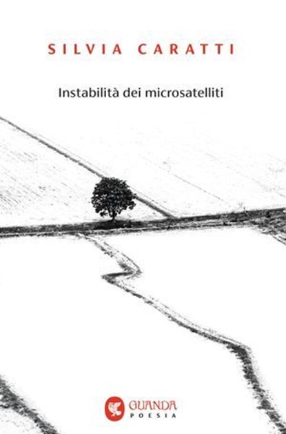 Instabilità dei microsatelliti, Silvia Caratti - Ebook - 9788823536081