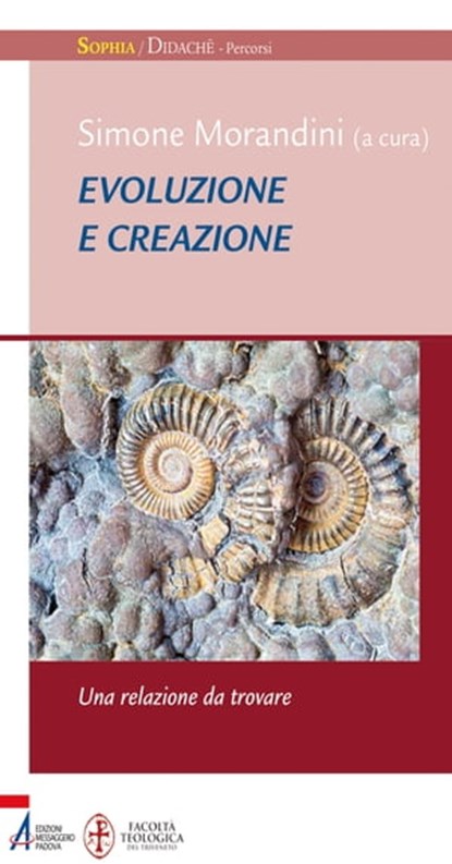Evoluzione e creazione. Una relazione da ritrovare, Simone Morandini - Ebook - 9788825043051