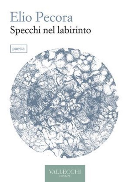 Specchi nel labirinto, Elio Pecora - Ebook - 9788825204018