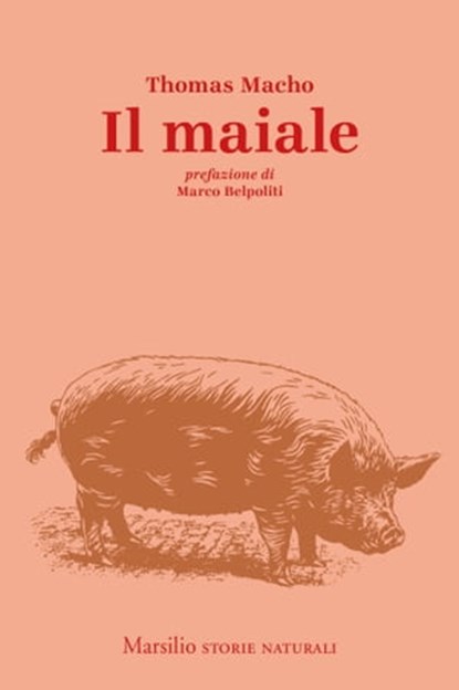 Il maiale, Thomas Macho ; Marco Belpoliti - Ebook - 9788829700882