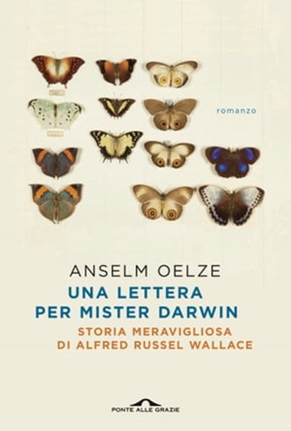 Una lettera per Mister Darwin, Anselm Oelze - Ebook - 9788833316666