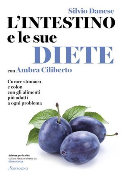 L'intestino e le sue diete, Silvio Danese - Ebook - 9788845427725