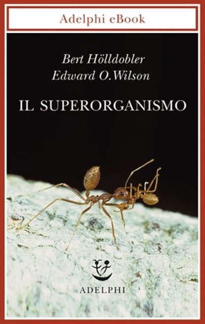 Il superorganismo, Bert Hölldobler ; Edward O. Wilson - Ebook - 9788845982354