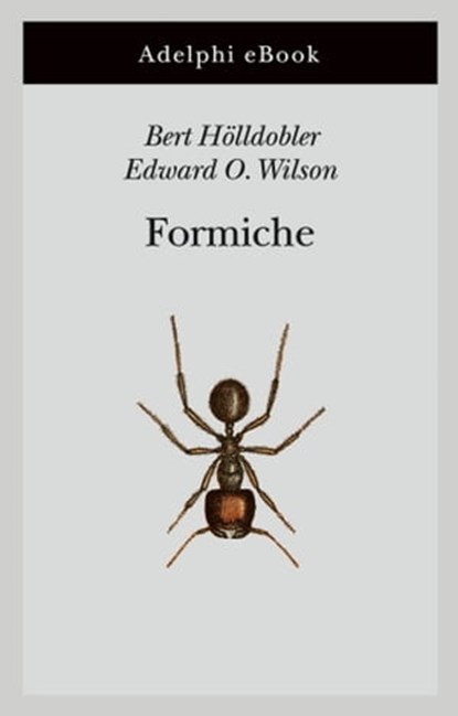 Formiche, Bert Hölldobler ; Edward O. Wilson - Ebook - 9788845983030