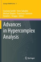 Advances in Hypercomplex Analysis | Graziano Gentili ; Irene Sabadini ; Michael Shapiro ; Franciscus Sommen | 