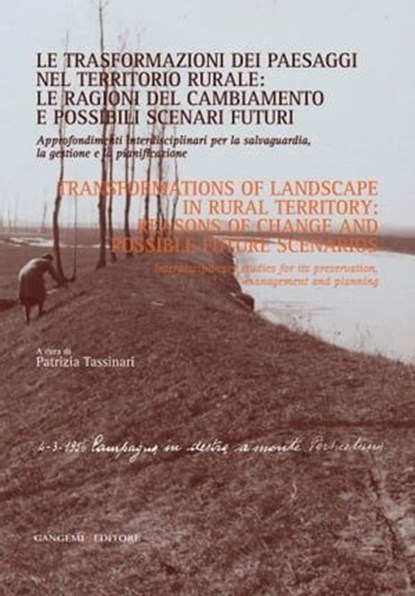 Le trasformazioni dei paesaggi nel territorio rurale: le ragioni del cambiamento e possibili scenari futuri, Vincenzo Viscosi ; Stefano Benni ; Franco Baraldi - Ebook - 9788849293807