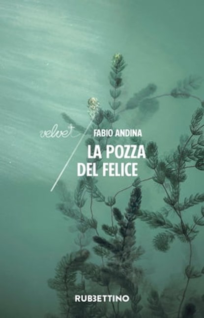 La pozza del Felice, Fabio Andina - Ebook - 9788849857566