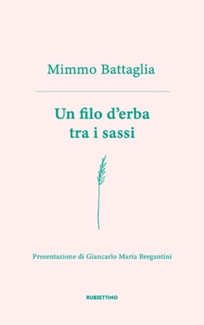 Un filo d’erba tra i sassi, Mimmo Battaglia ; Giancarlo Maria Bregantini - Ebook - 9788849869033