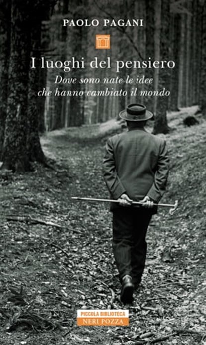 I luoghi del pensiero, Paolo Pagani - Ebook - 9788854518865