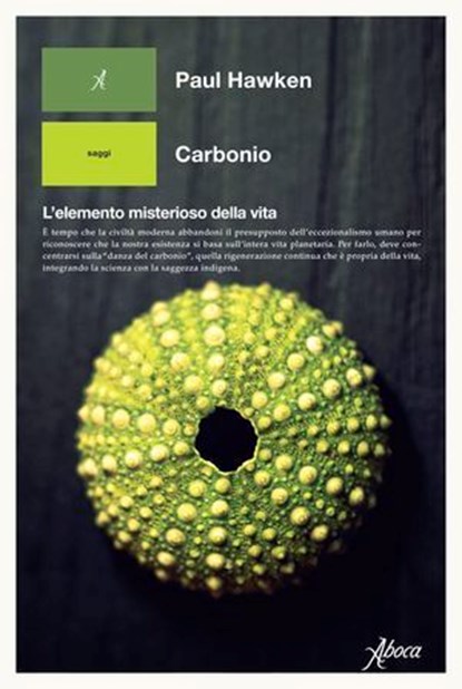 Carbonio, Paul Hawken - Ebook - 9788855233774