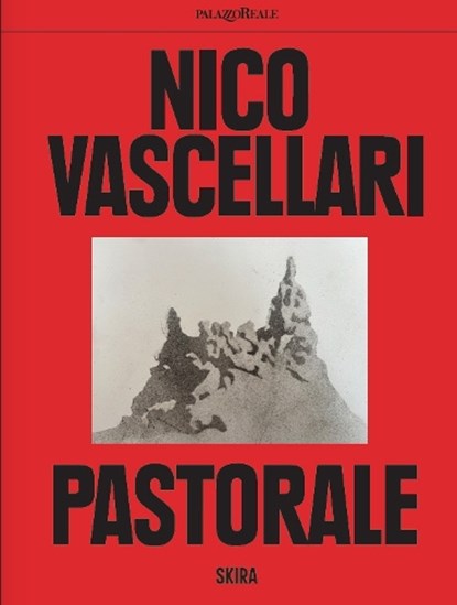 Nico Vascellari (Bilingual edition), niet bekend - Paperback - 9788857253916