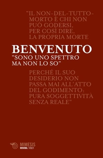 Sono uno spettro ma non lo so, Sergio Benvenuto - Ebook - 9788857558950