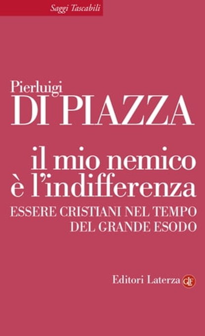Il mio nemico è l'indifferenza, Pierluigi Di Piazza - Ebook - 9788858125045