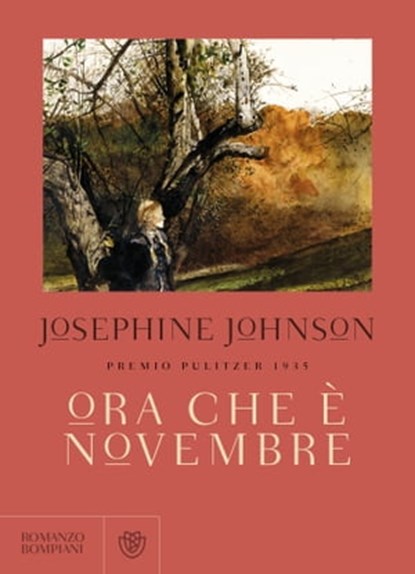 Ora che è novembre, Josephine Johnson - Ebook - 9788858773987