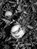 Jacopo Benassi: Bologna Portraits, Jacopo Benassi - Gebonden - 9788862086509