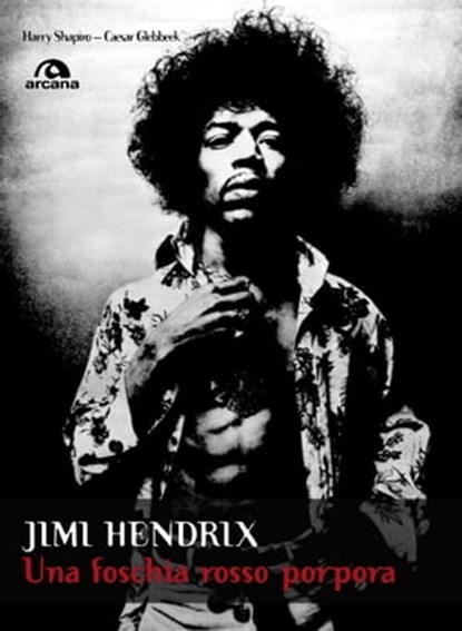 Jimi Hendrix, Harry Shapiro ; Caesar Glebbeek - Ebook - 9788862317580
