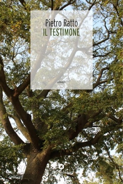 Il Testimone, Pietro Ratto - Ebook - 9788869346699