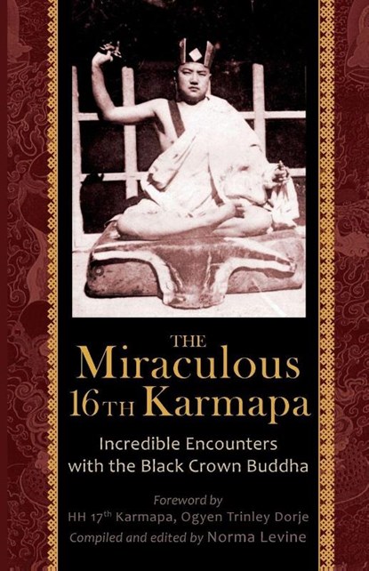 The Miraculous 16th Karmapa, LEVINE,  Naomi - Paperback - 9788878341333