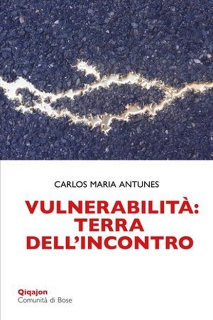 Vulnerabilità: terra dell'incontro, Carlos Maria Antunes - Ebook - 9788882276904