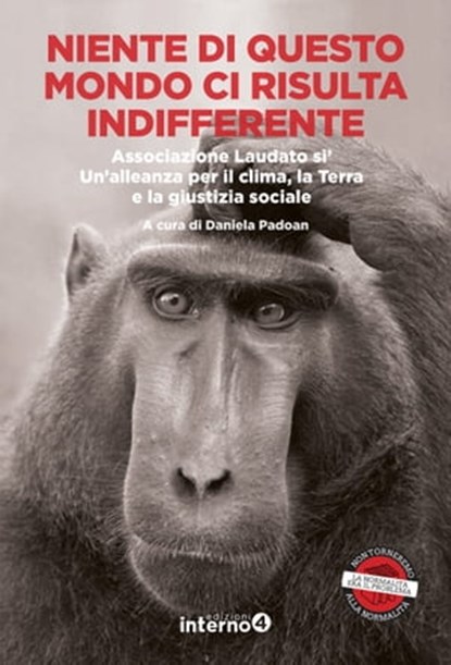 Niente di questo mondo ci risulta indifferente, Daniela Padoan - Ebook - 9788885747524