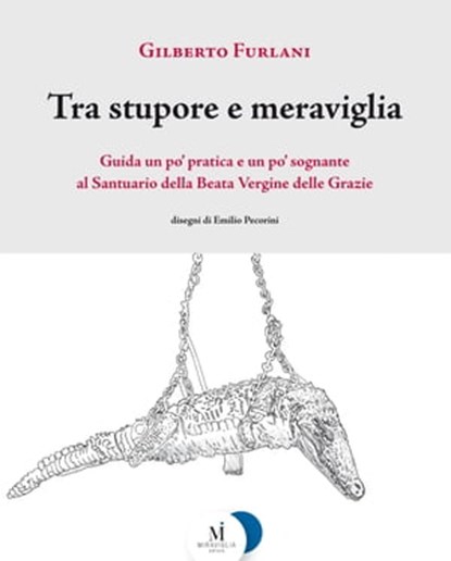 Tra stupore e meraviglia, Gilberto Furlani ; Emilio Pecorini - Ebook - 9788889993644