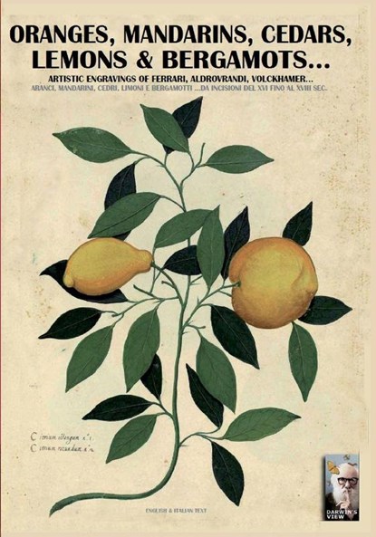 Oranges, mandarins, cedars, lemons & bergamots.., Luca Stefano Cristini - Paperback - 9788893270830