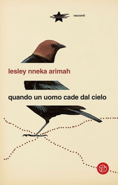 Quando un uomo cade dal cielo, Lesley Nneka Arimah - Ebook - 9788893901741