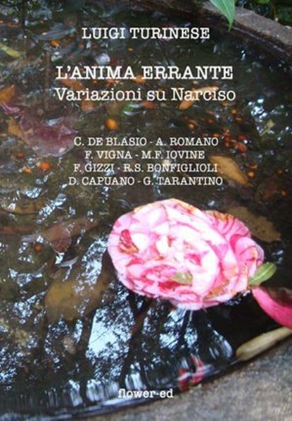 L'anima errante, Luigi Turinese - Ebook - 9788897815280