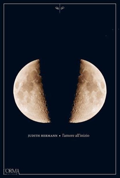 L'amore all'inizio, Judith Hermann - Ebook - 9788899793692