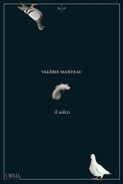 Il solco, Valérie Manteau - Ebook - 9788899793944
