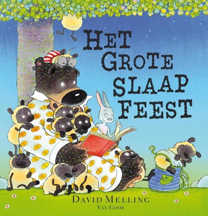 Het grote slaapfeest, David Melling - Gebonden - 9789000314492
