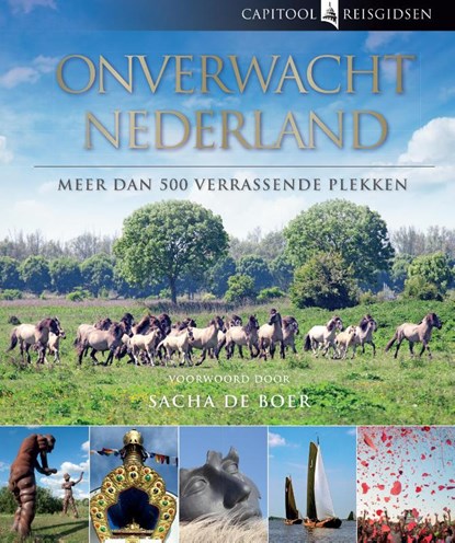 Onverwacht Nederland, Bartho Hendriksen - Gebonden - 9789000325382