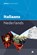 Prisma woordenboek Italiaans-Nederlands, L. Schram-Pighi - Paperback - 9789000356515