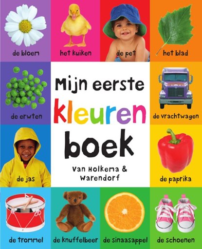 Mijn eerste kleuren boek, Roger Priddy - Overig - 9789000365661