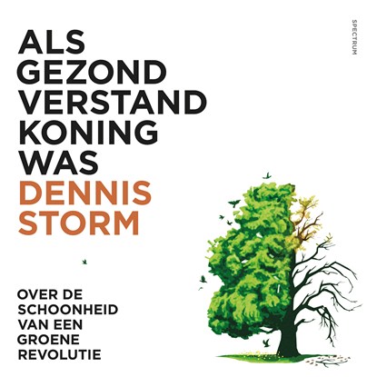 Als gezond verstand koning was, Dennis Storm - Luisterboek MP3 - 9789000375707