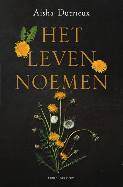 Het leven noemen, Aisha Dutrieux - Gebonden - 9789000377572