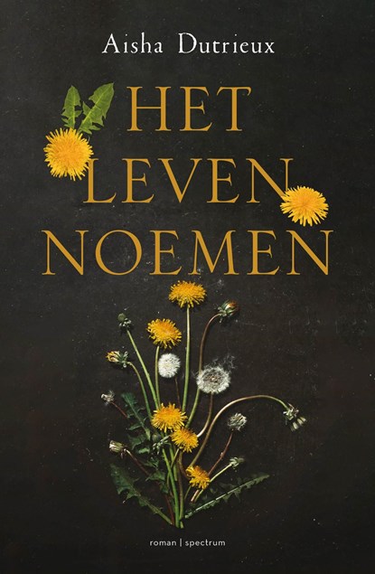 Het leven noemen, Aisha Dutrieux - Ebook - 9789000377589