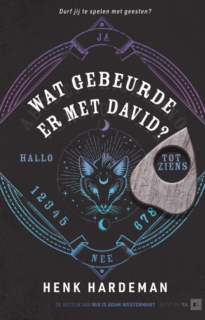 Wat gebeurde er met David?, Henk Hardeman - Gebonden - 9789000383481