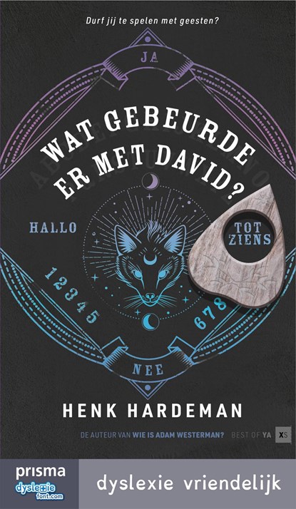 Wat gebeurde er met David?, Henk Hardeman - Ebook - 9789000383504