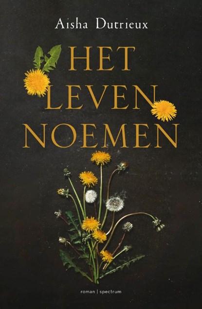 Het leven noemen, Aisha Dutrieux - Paperback - 9789000384655